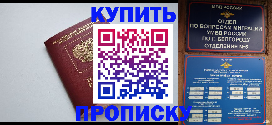 прописка регистрация в Архангельске